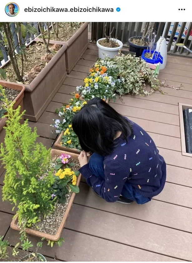 自宅ベランダでお花の世話をする麗禾ちゃん