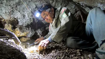 沖縄戦戦没者遺骨が眠る土を埋め立てに使用させないため、行動する男性の姿を追う<テレメンタリー2022>