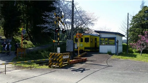 【写真を見る】「いすみ鉄道」を舞台に中居はスターならではの活躍を見せられるのか!?