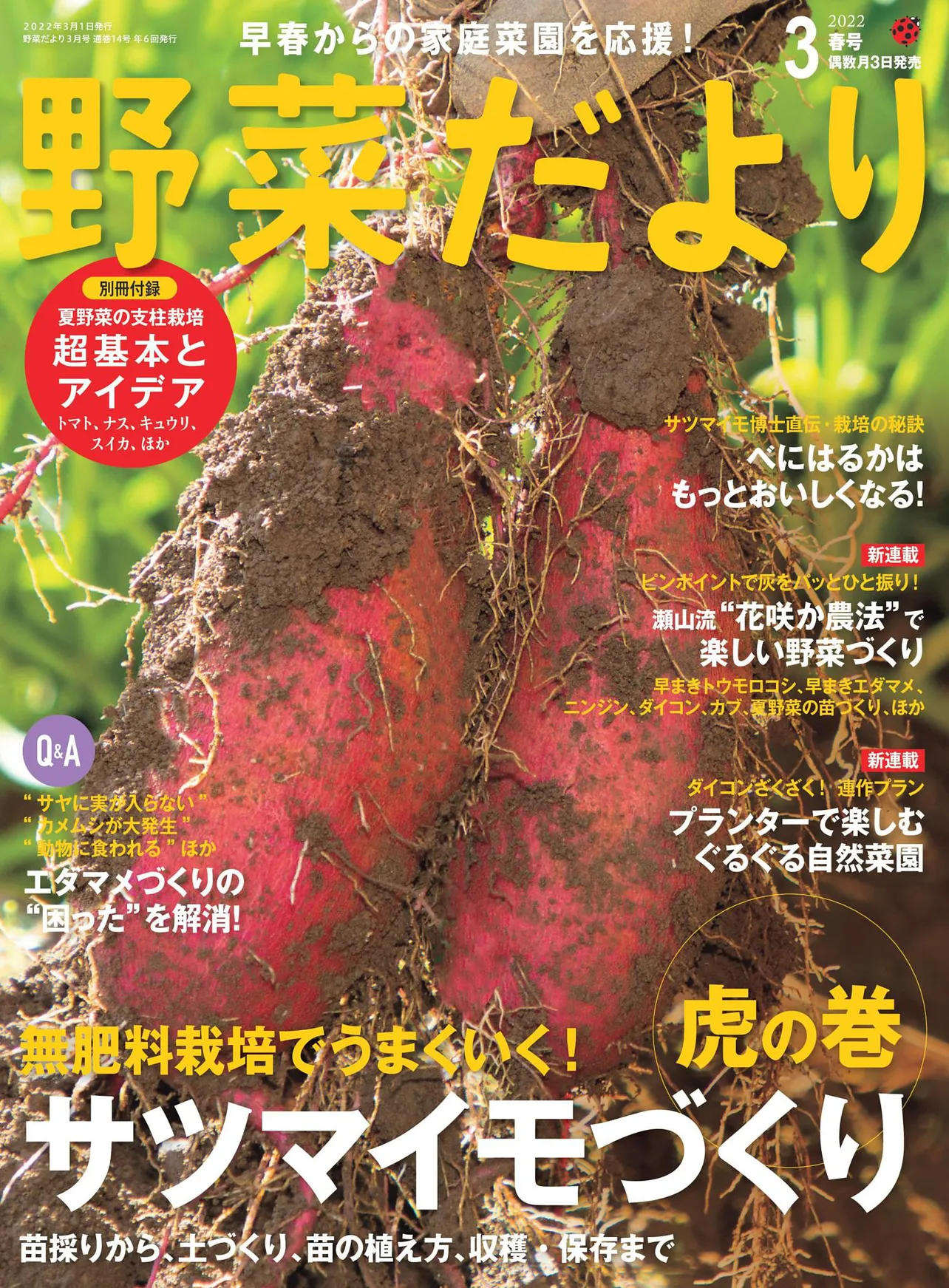 グラビアザテレビジョン」「ことりっぷマガジン」など6誌がdマガジンで