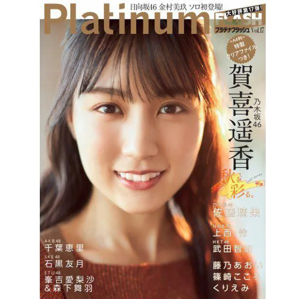 Platinum FLASH Vol.17