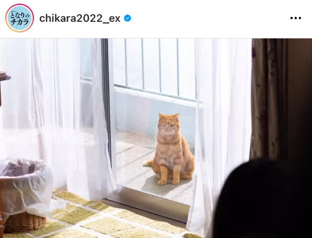 ※画像はとなりのチカラ公式Instagram(chikara2022_ex)より