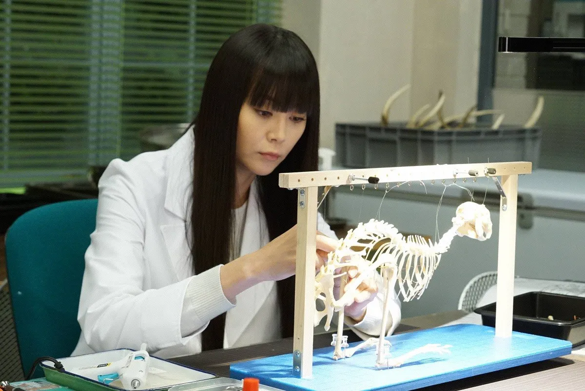 何よりも骨を愛する骨格標本 士・櫻子(観月ありさ)が、骨をヒントに 難事件を解決するミステリー「櫻子さんの足下には死体が埋まっている」
