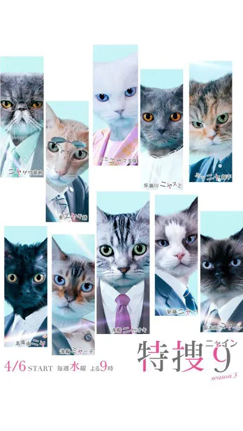 井ノ原快彦、Snow Man向井康二ら「特捜9」のメンバーが「特捜ニャイン」に!『かわいい』『キャラクターにそっくり(笑)』