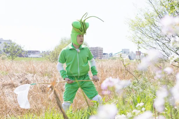 【写真を見る】カマキリ先生がモンシロチョウを捕獲