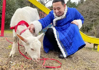 ギャラクシー賞月間賞を受賞した、千鳥・大悟×ヤギのゆるゆる旅番組の第2弾放送決定<ヤギと大悟>