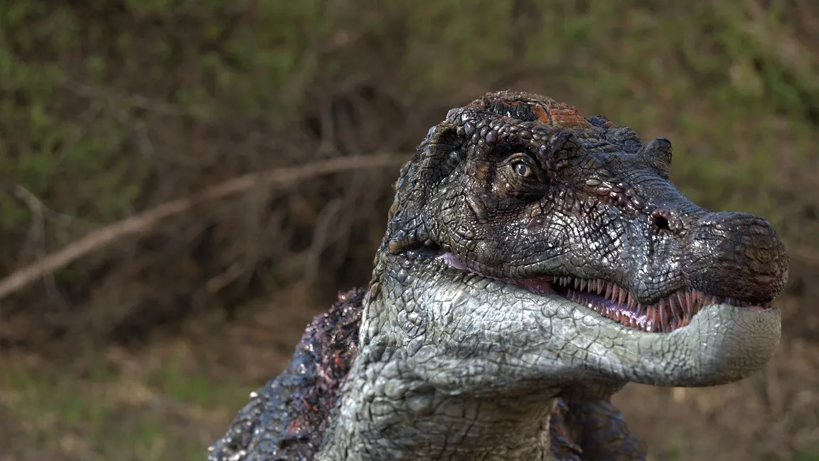 「NHKスペシャル―」では、日本の恐竜研究の最前線に迫る