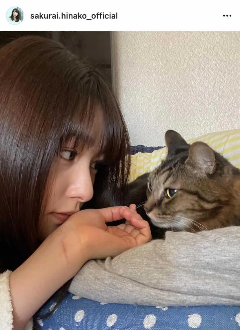 【写真を見る】眼福…！愛猫・ミルくんと見つめ合う桜井日奈子
