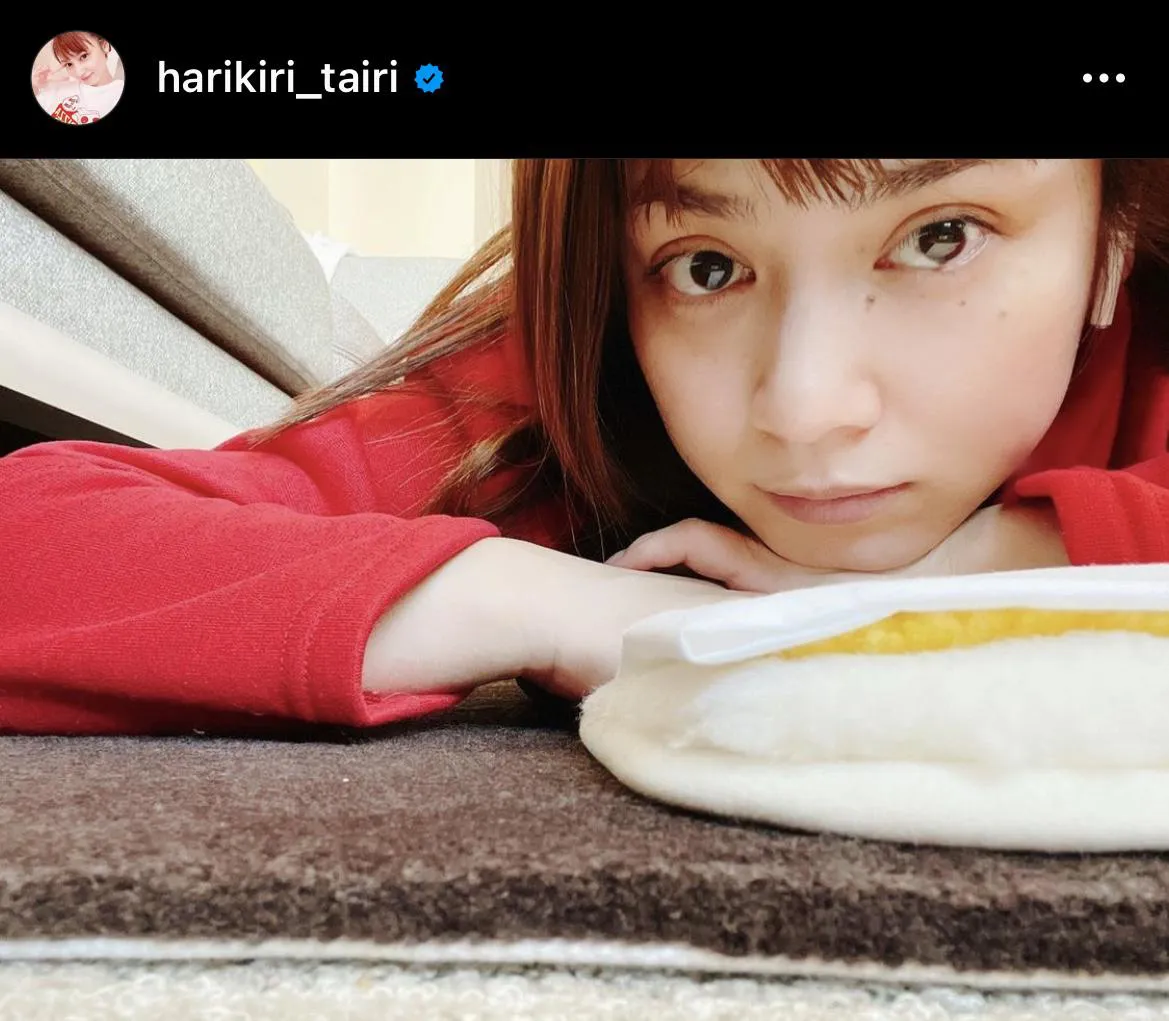 ※画像は平愛梨公式Instagram(harikiri_tairi)より