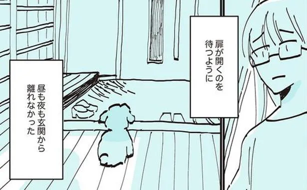 漫画 大好きなお母さんの帰りを待つクーさん 玄関から離れずに待ち続け うちのトイプーがアイドルすぎる 12 Webザテレビジョン