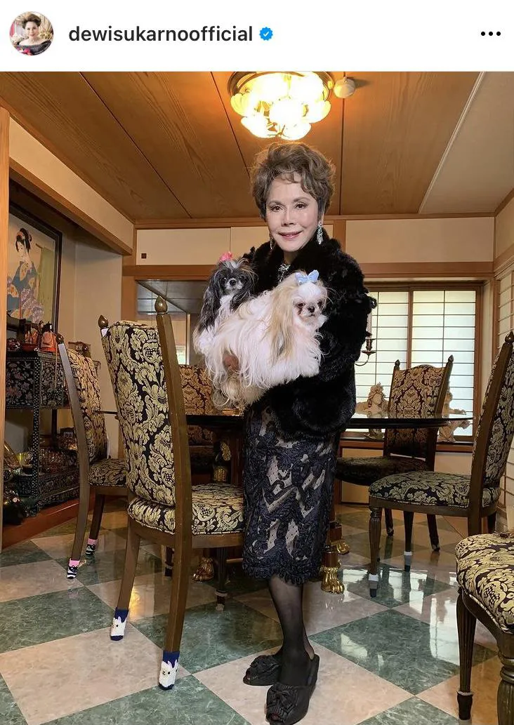 愛犬を抱きかかえるデヴィ夫人と豪華な自宅リビングのかわいらしい椅子脚カバー