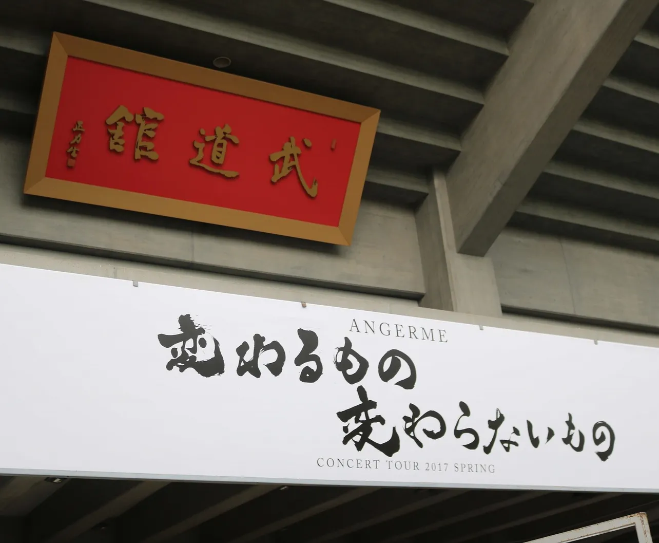 画像・写真 アンジュルム、初めての“何もない”武道館で得たものとは？(15/15) | WEBザテレビジョン