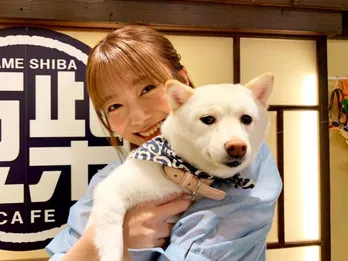 櫻坂46・田村保乃が豆柴たちにメロメロに　キュートな動物たちが癒しと爆笑を提供＜ウラ撮れちゃいました＞