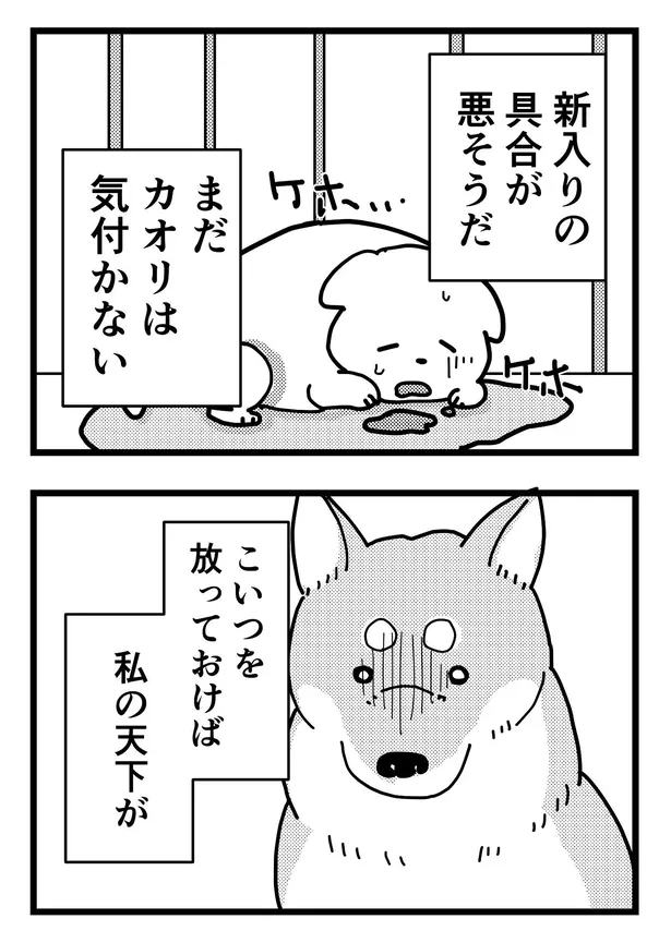 漫画 号泣必至 新入り に嫉妬する先住犬を描いた漫画 予想外の展開に 涙が止まらない と話題 Webザテレビジョン