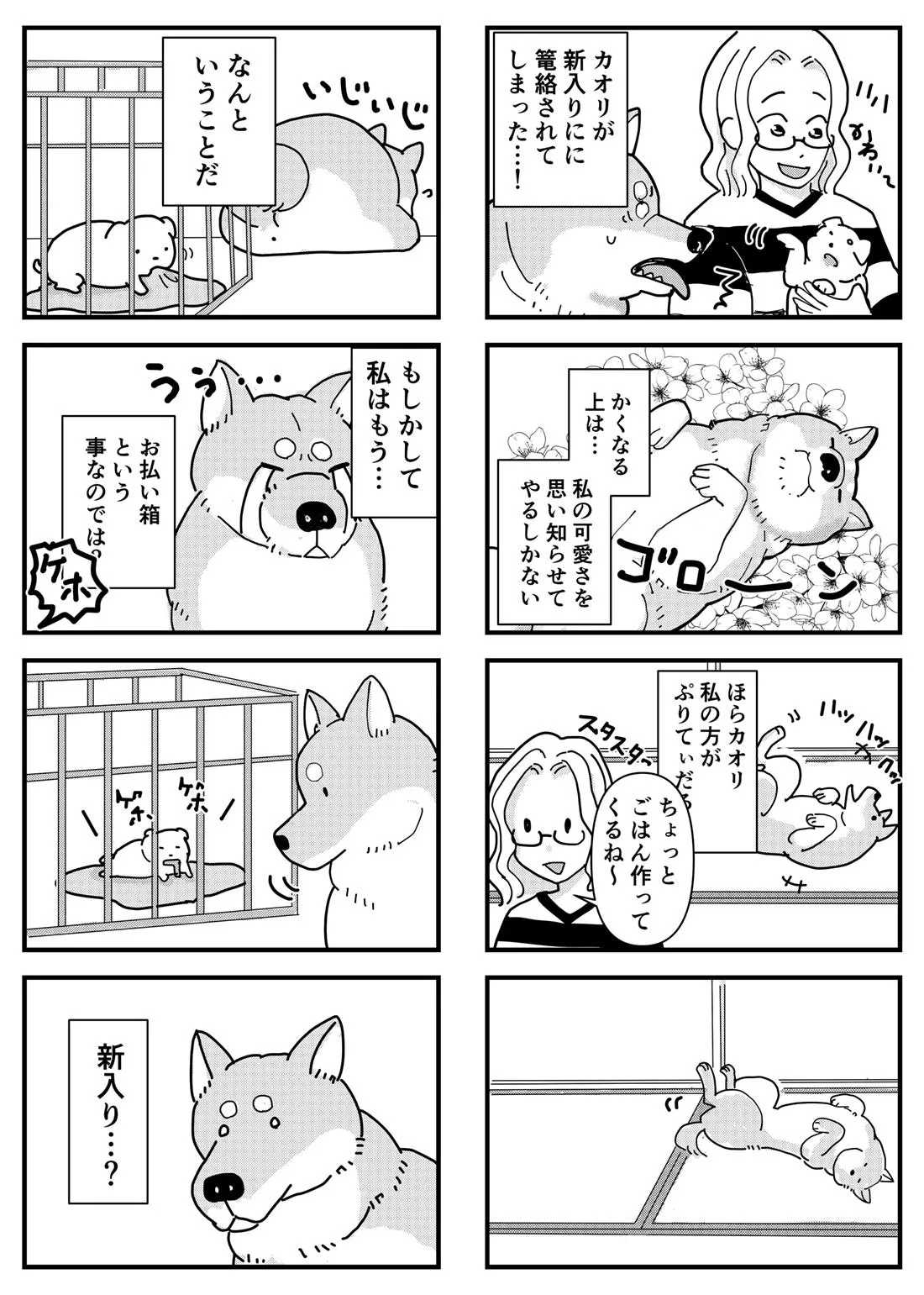 先住犬が新入りの犬に嫉妬する話(2/5)