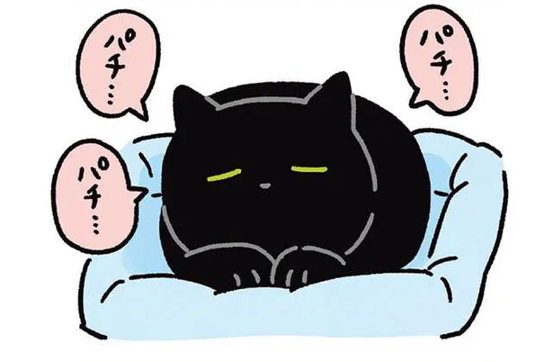 漫画 ねこがゆっくりまばたきをするのは愛情表現のひとつ でも もしや動作が遅いだけ 黒猫ろんと暮らしたら3 13 Webザテレビジョン