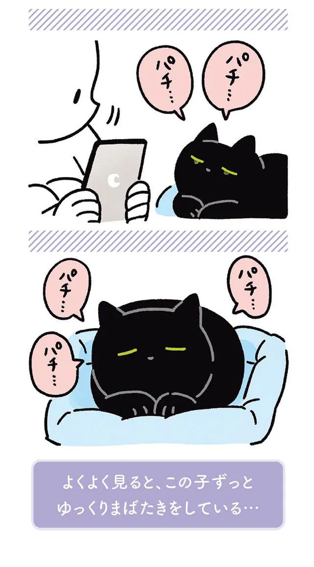 漫画 ねこがゆっくりまばたきをするのは愛情表現のひとつ でも もしや動作が遅いだけ 黒猫ろんと暮らしたら3 13 Webザテレビジョン