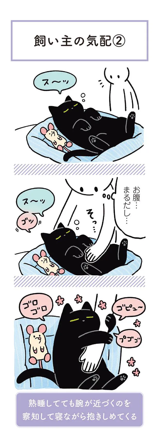 画像 漫画 ねこがゆっくりまばたきをするのは愛情表現のひとつ でも もしや動作が遅いだけ 黒猫ろんと暮らしたら3 13 6 6 Webザテレビジョン