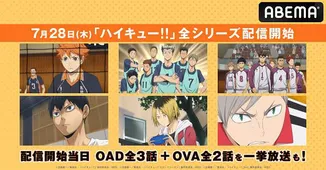 Tvアニメシリーズ 劇場版 Oad Ova ハイキュー 全シリーズ配信開始決定 Oad全3話 Ova全2話の無料一挙放送も Webザテレビジョン
