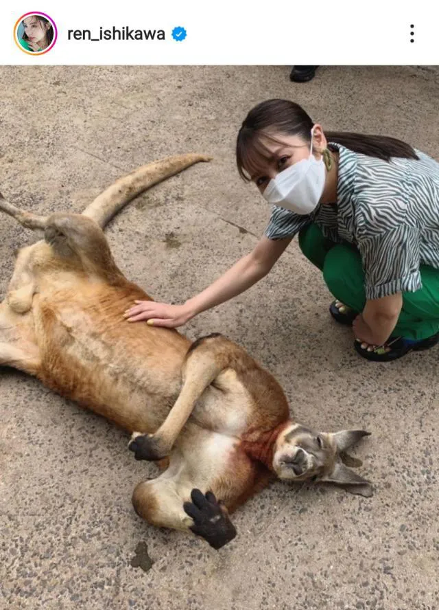 石川恋の“なでなで”でカンガルーも気持ち良さそう