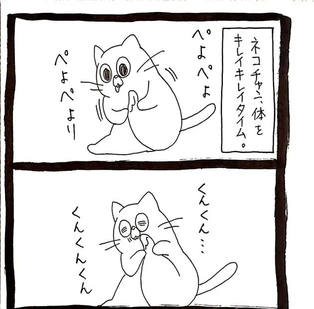  画像提供／うさぎのみみちゃん