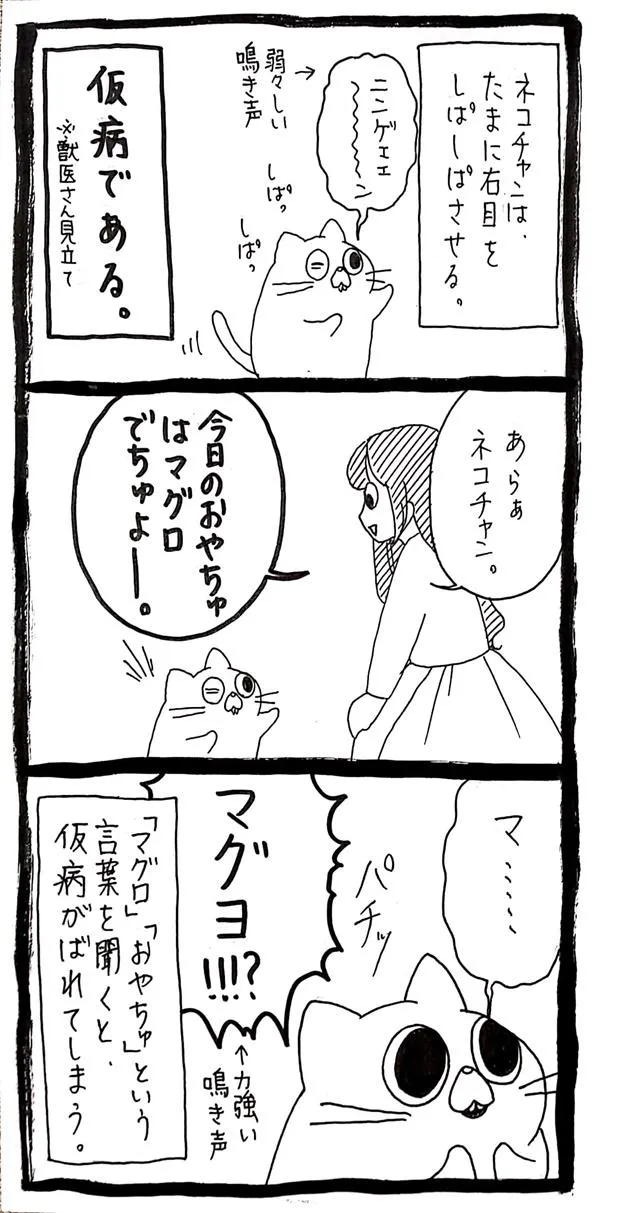 画像・写真 【漫画】猫の“声なき声”はなぜ？…獣医の回答が話題に