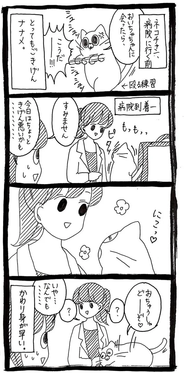 画像 漫画 猫の 声なき声 はなぜ 獣医の回答が話題に 本当に素敵 獣医さんは元猫 19 91 Webザテレビジョン