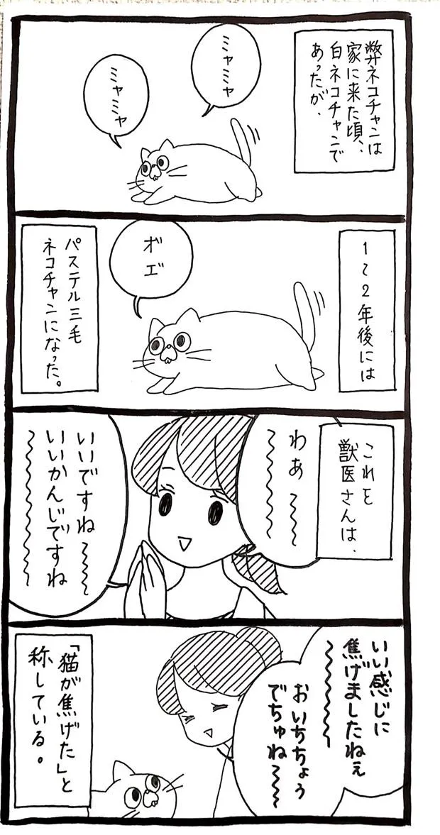  画像提供／うさぎのみみちゃん