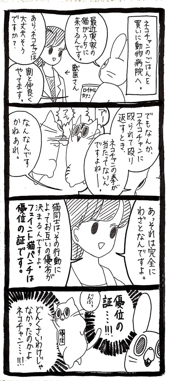 画像・写真 【漫画】猫の“声なき声”はなぜ？…獣医の回答が話題に