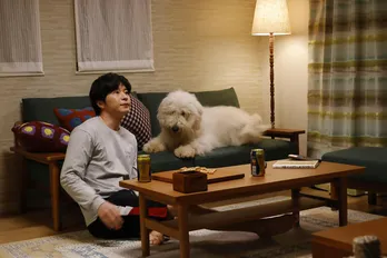 田中圭が大型犬とほっこり共同生活、散歩やお風呂に大奮闘の映画「ハウ」日常シーン映像が解禁