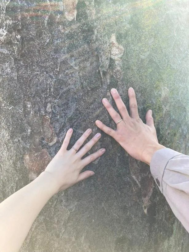 【写真を見る】結婚指輪をしたふたりの手を大木にそえた写真を公開した佐野岳