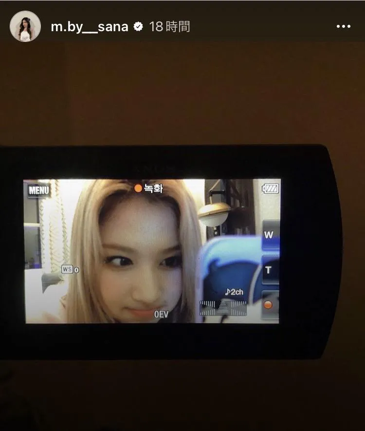 ※TWICE SANA Instagram(m.by__sana)より