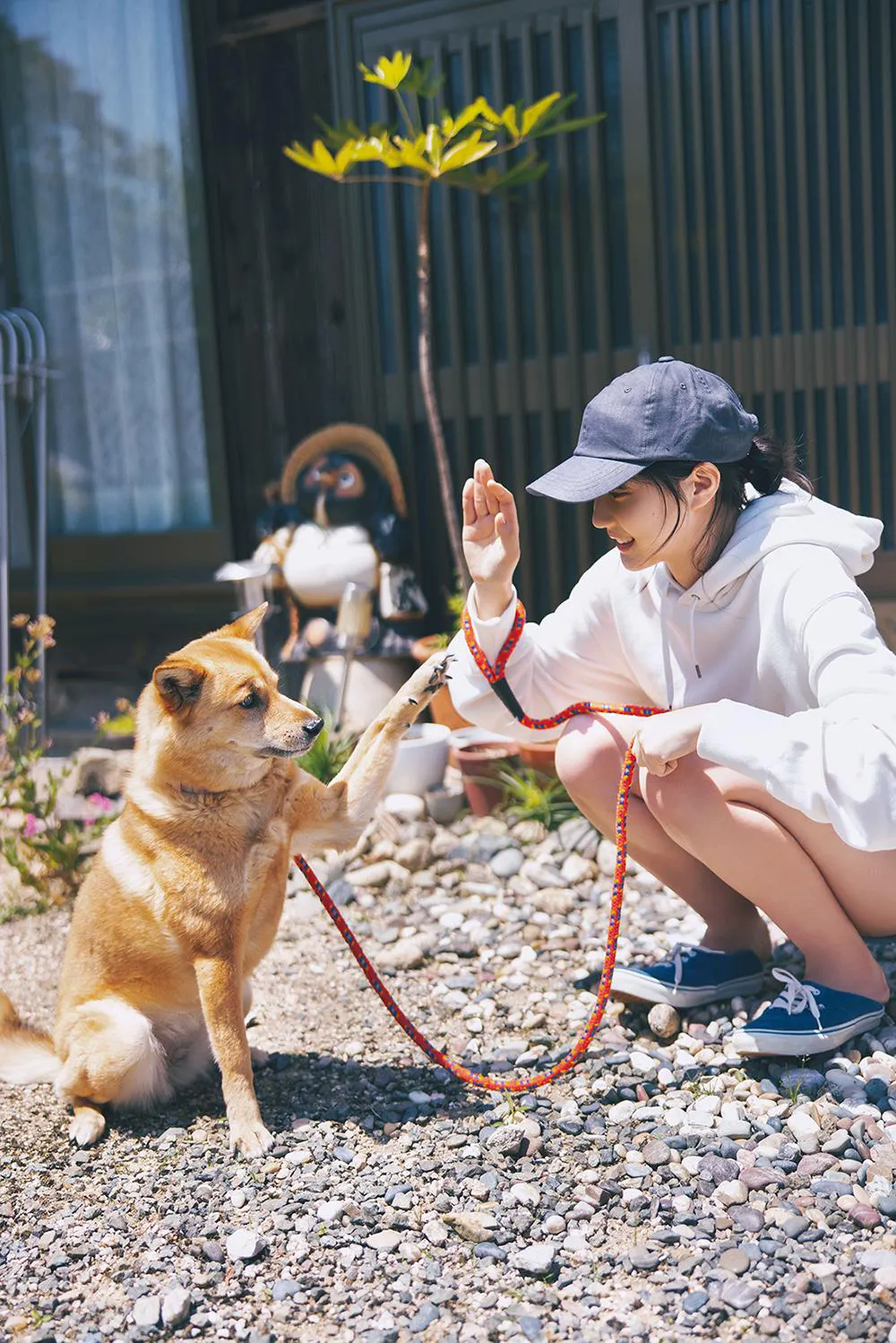 【写真】ほのぼの…実家で愛犬と“ハイタッチ”して戯れる瀧野由美子
