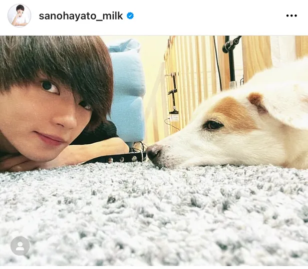 ※佐野勇斗Instagram(sanohayato_milk)より