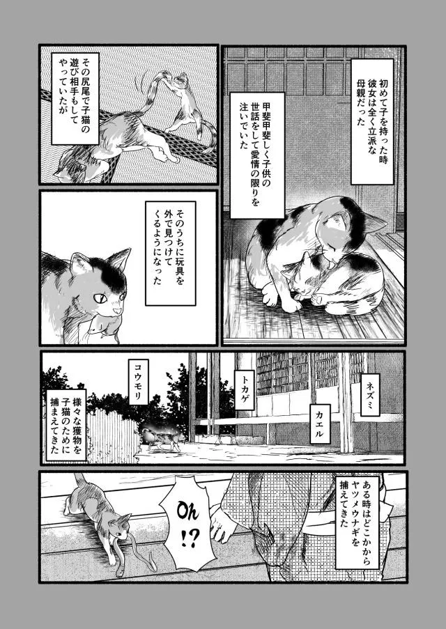 『作家の飼い猫が夢を見る漫画』(3/8)