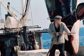 シャチが人間を追い詰める…海洋パニック映画「オルカ」、BS12「土曜洋画劇場」で放送