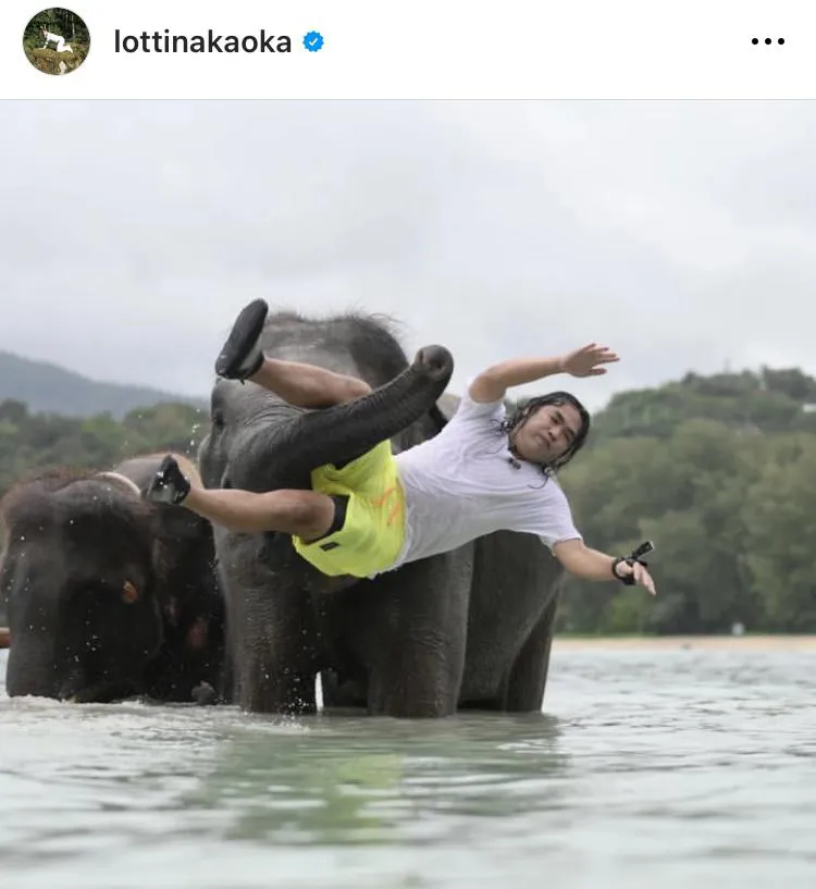 【写真】なされるがまま…ゾウに投げ飛ばされるロッチ中岡