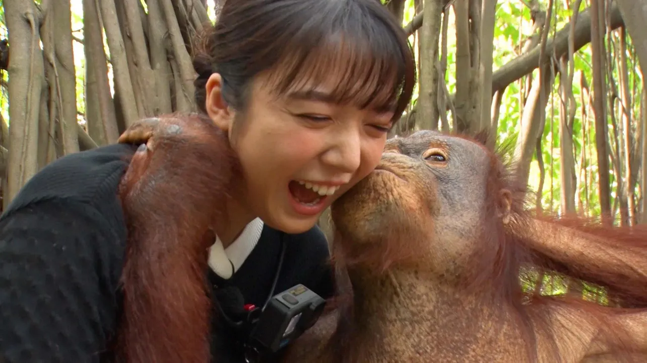 【写真】動物から熱烈なキスを受ける上白石萌音