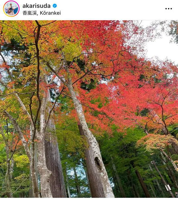 香嵐渓の紅葉