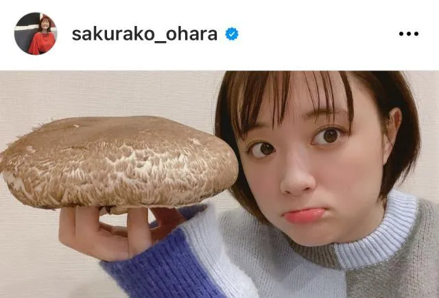 ※画像は大原櫻子Instagram (sakurako_ohara)より