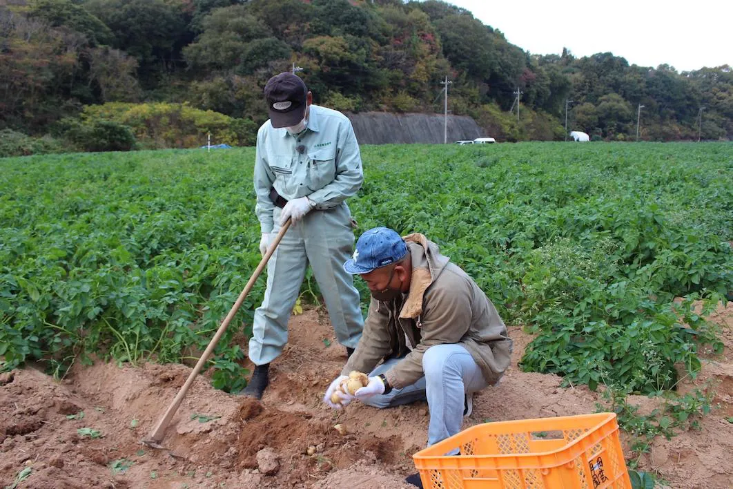 広島で食材を収穫する西村