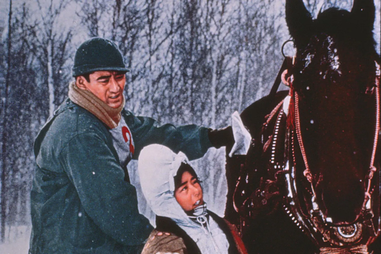 新網走番外地　さいはての流れ者