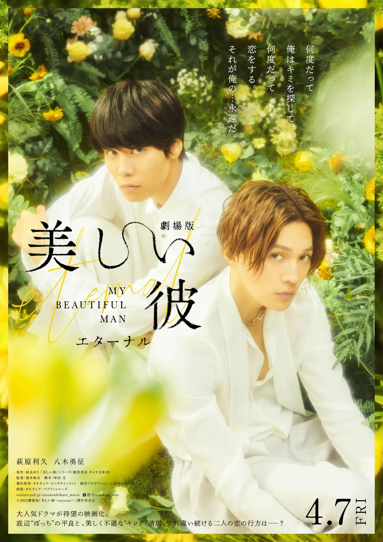萩原“平良”と八木“清居”、淡い⻩⾊の花々に囲まれた美しいポスター