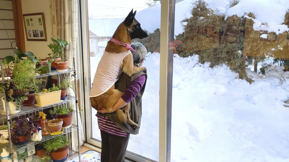  【写真】おばあちゃんに独特な甘え方をする犬