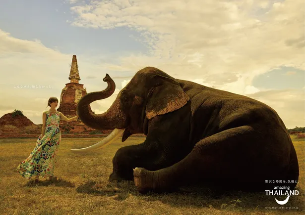 象との撮影に、西野は「合成じゃなくて本当に一緒に撮りました。歳が近かったみたいで、気が合って楽しく撮影ができました」と振り返った