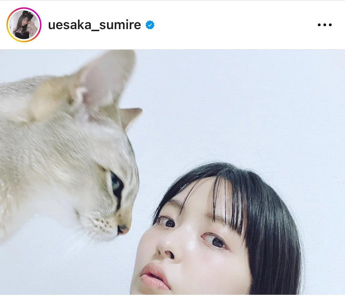 ※上坂すみれオフィシャルInstagram(uesaka_sumire)より