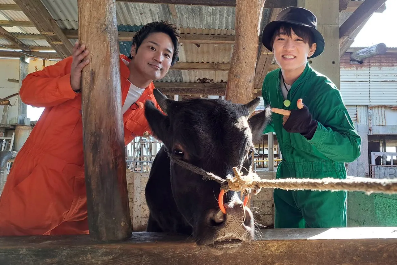 【写真】沖縄で闘牛の牛舎を訪れる桐山照史、神山智洋