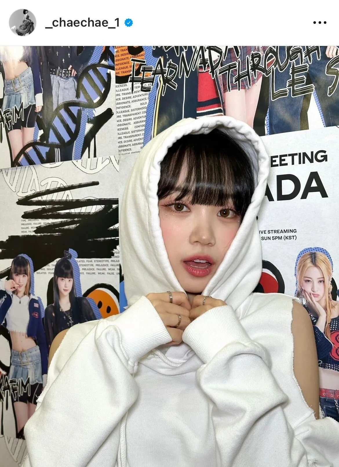 LE SSERAFIM Crop Hoodie L-XL ルセラフィム パーカー - アイドル LE SSERAFIM Crop Hoodie L-XL ルセラフィム パーカー - アイドル