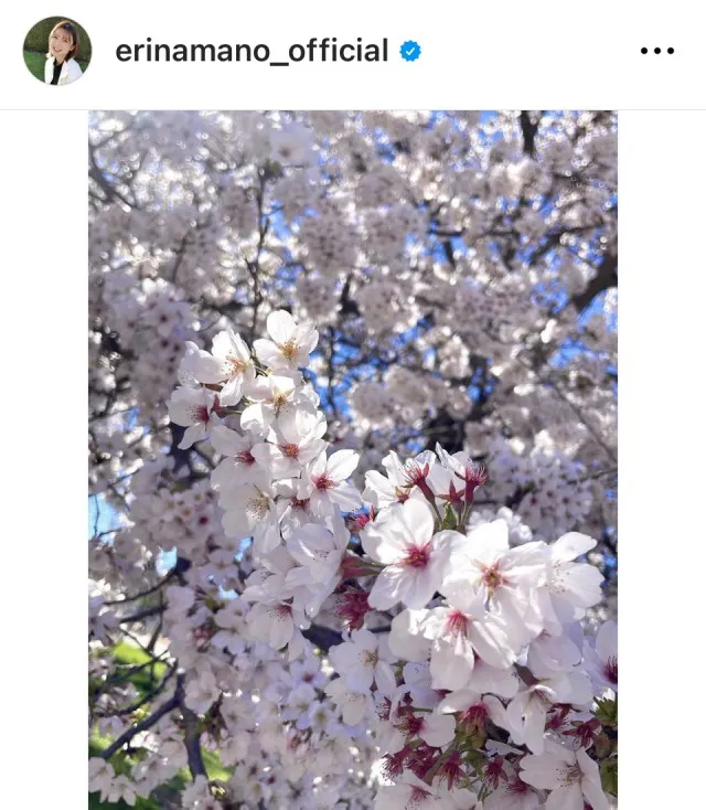 ※画像は真野恵里菜Instagram (erinamano_official)より