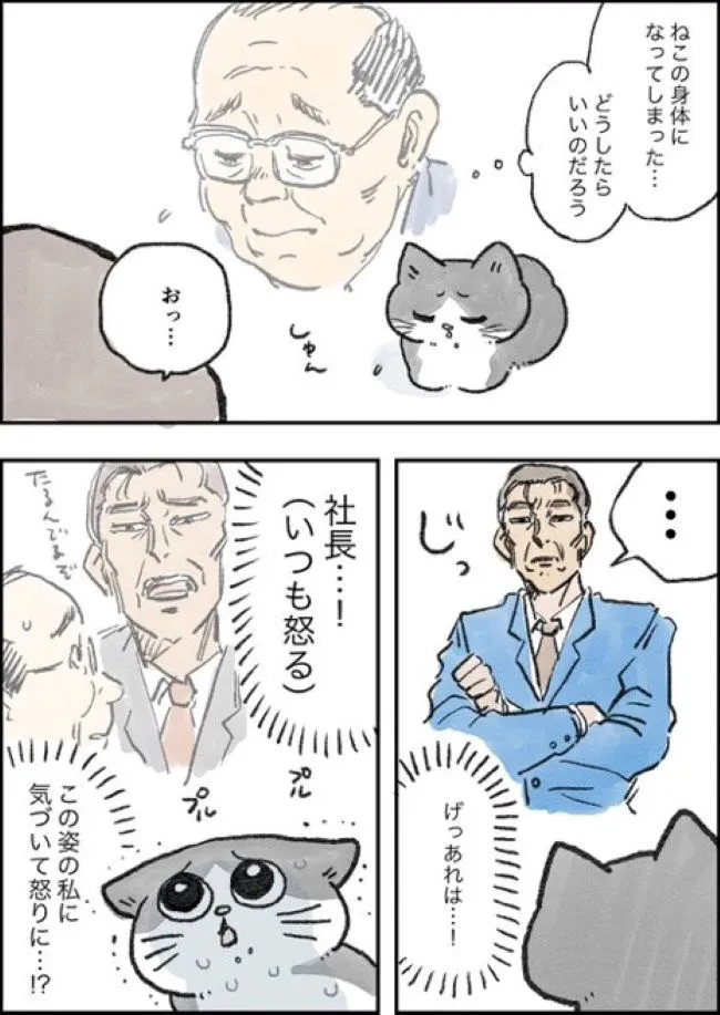 ねこに転生したおじさん(4/127)